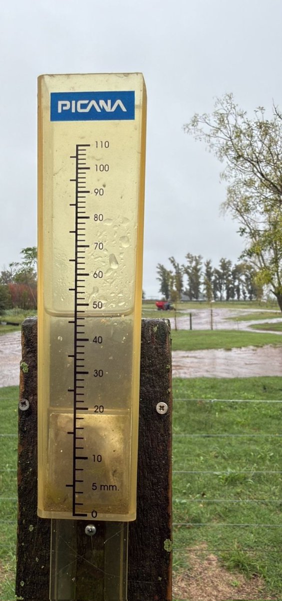 Andrea Passerini tweet media