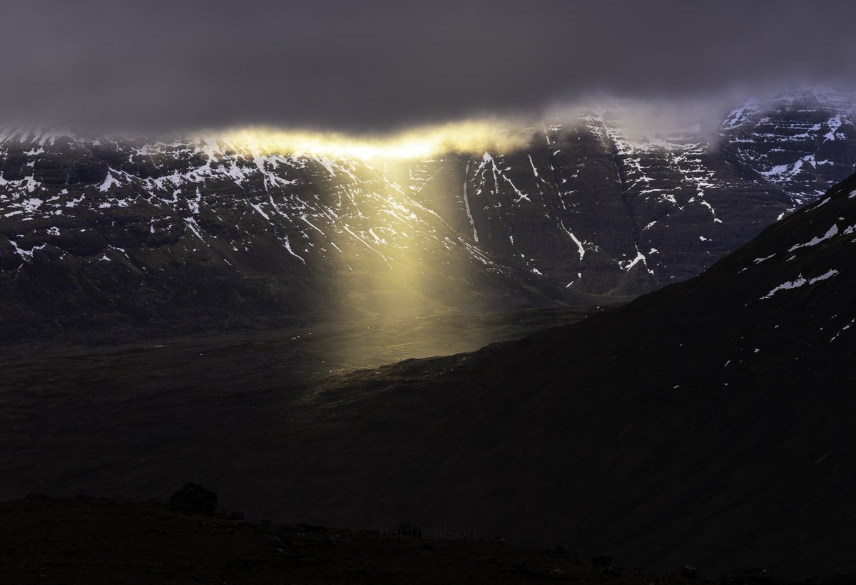 Paul Willson tweet media