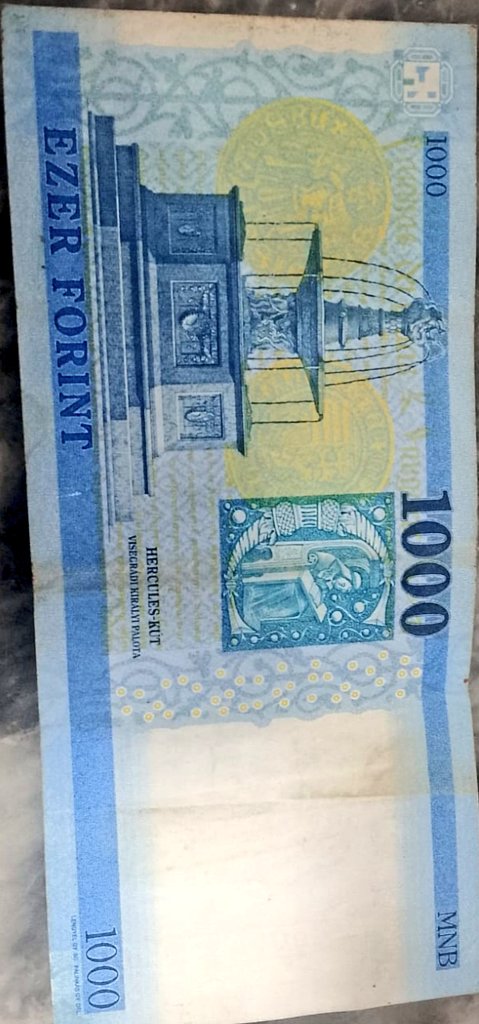 Laiba Khan tweet media