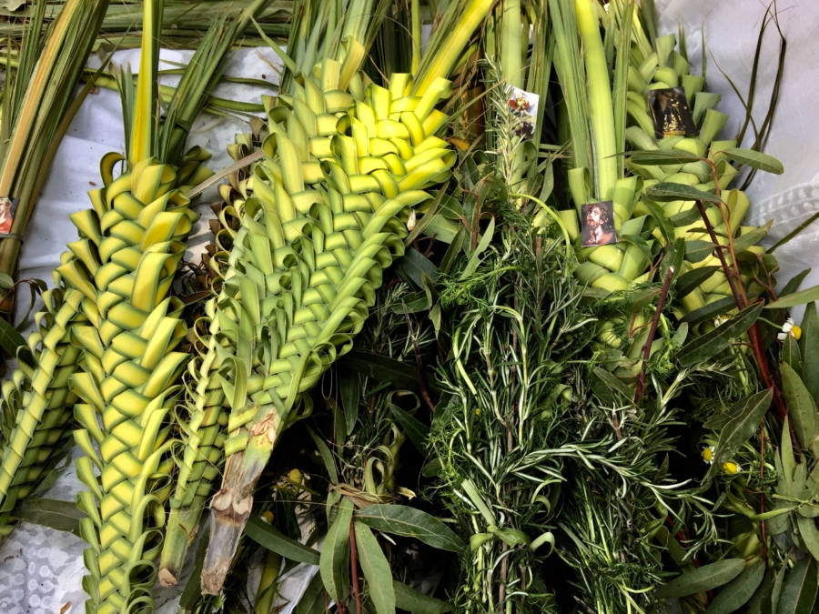 AbbasiJuan's tweet image. Palm Sunday in Mexico.

Palm Sunday in Mexico not only heralds the arrival of Holy Week, but also the beginning of countless activities linked to the agricultural cycle, whose origins date back to pre-Hispanic times.

#Catholic #indigenous #Mexico