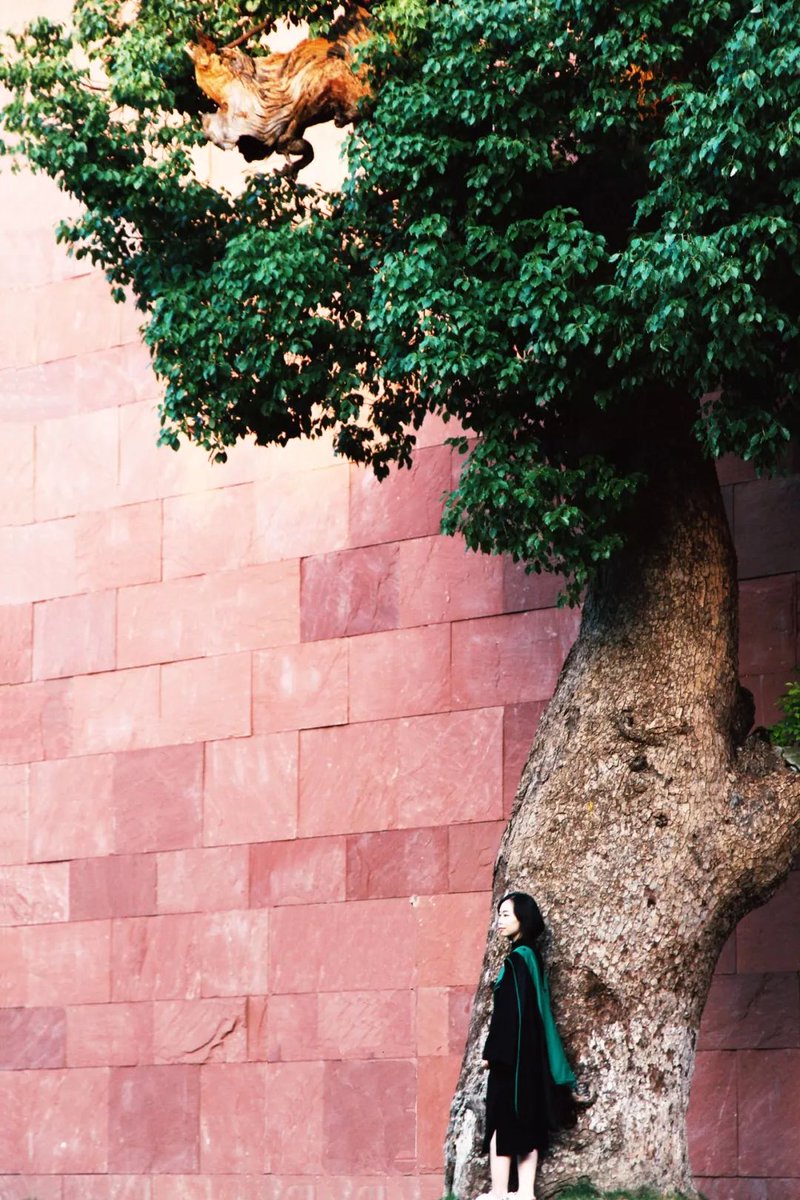 Carl the ninja tweet media