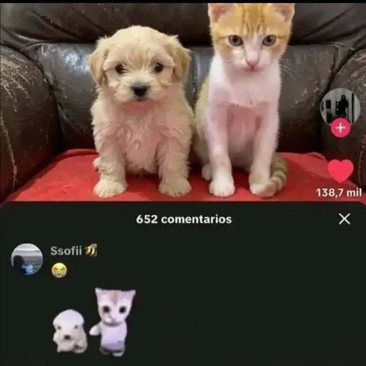 Dp0-0 BAKA EDITION 💛 tweet media