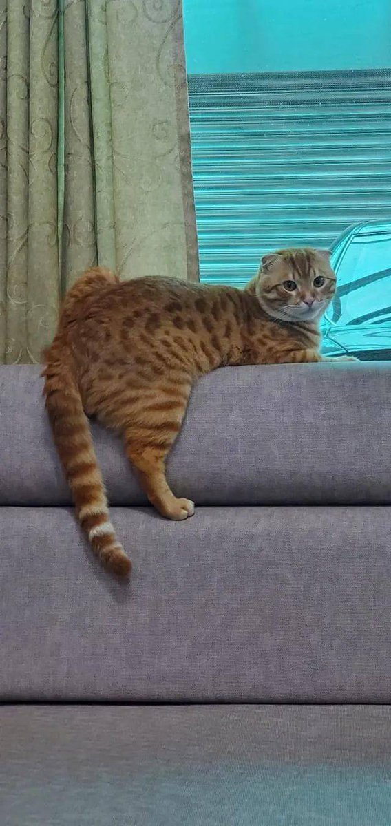 Mike DeRosa tweet media