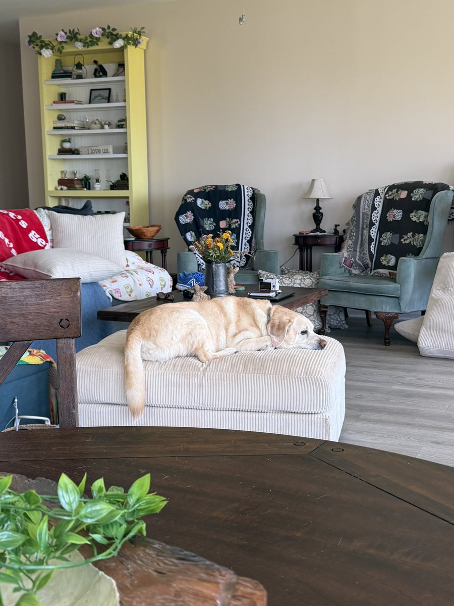 𝐴𝑠ℎ 𐂂 𓍊𓋼𓍊☽☘︎︎ tweet media