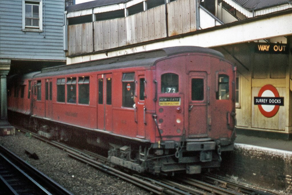 Rotherhithe Robin tweet media