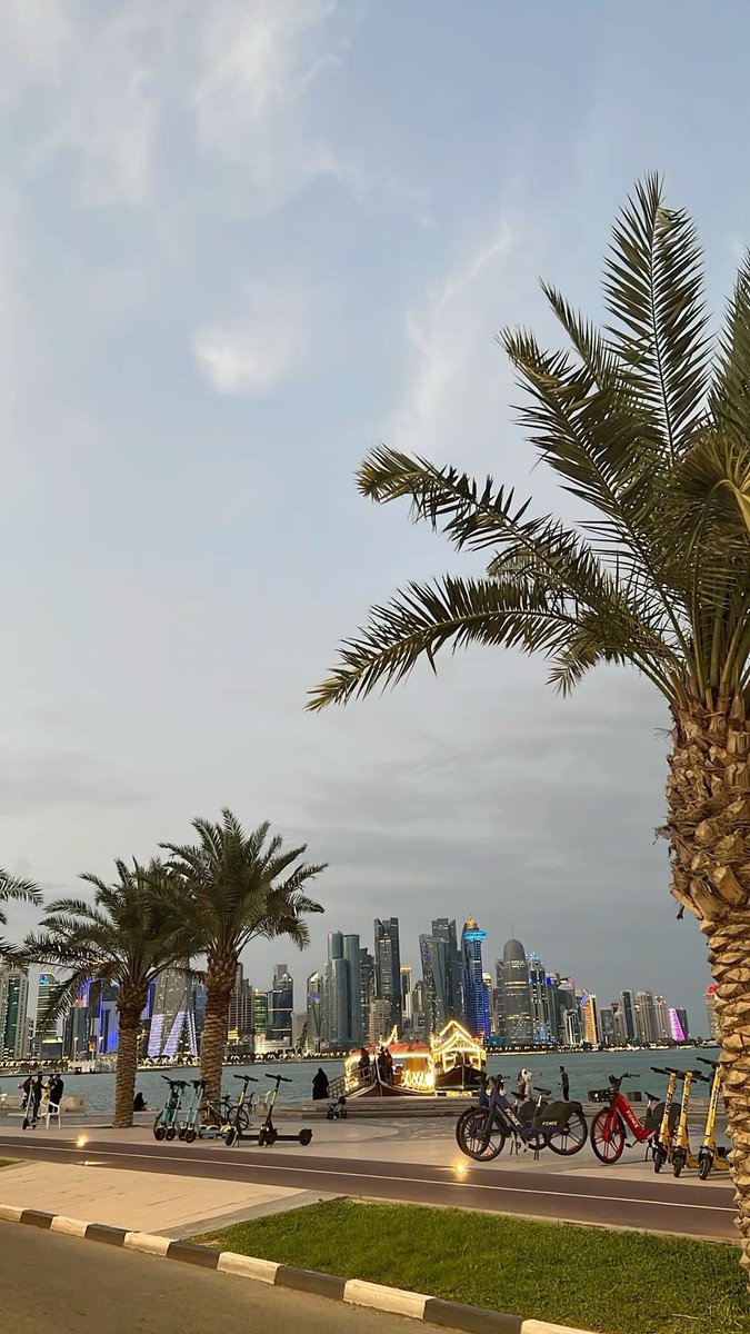 MENA Vibes tweet media