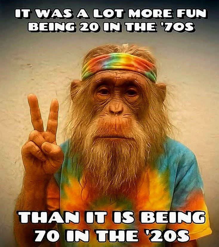 John Guillory C’mon Ca Va 💜💛Lsu🐯🖤💛Saints⚜️ tweet media