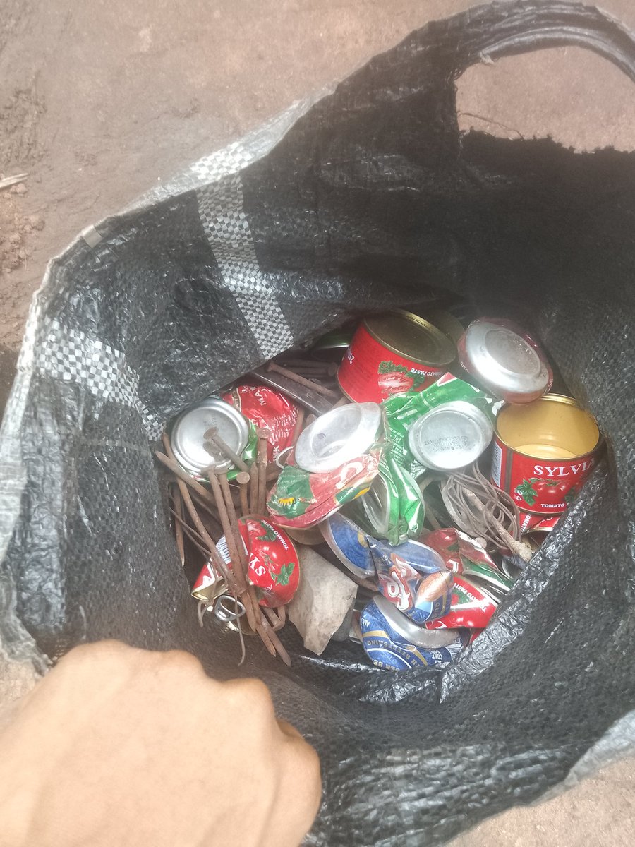 ℙ𝕒𝕤𝕔𝕙𝕒𝕝✭ tweet media