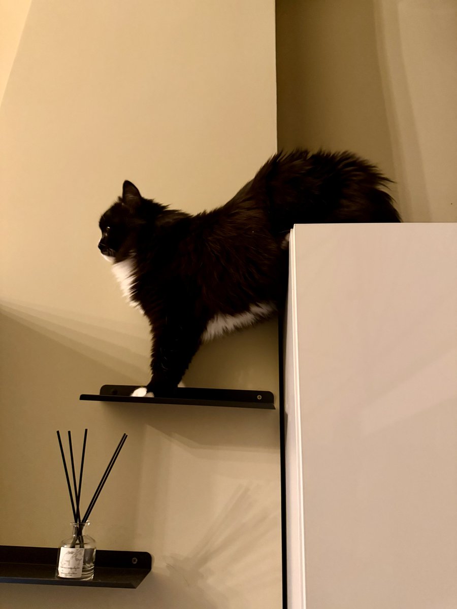 ёж-хуёж tweet media