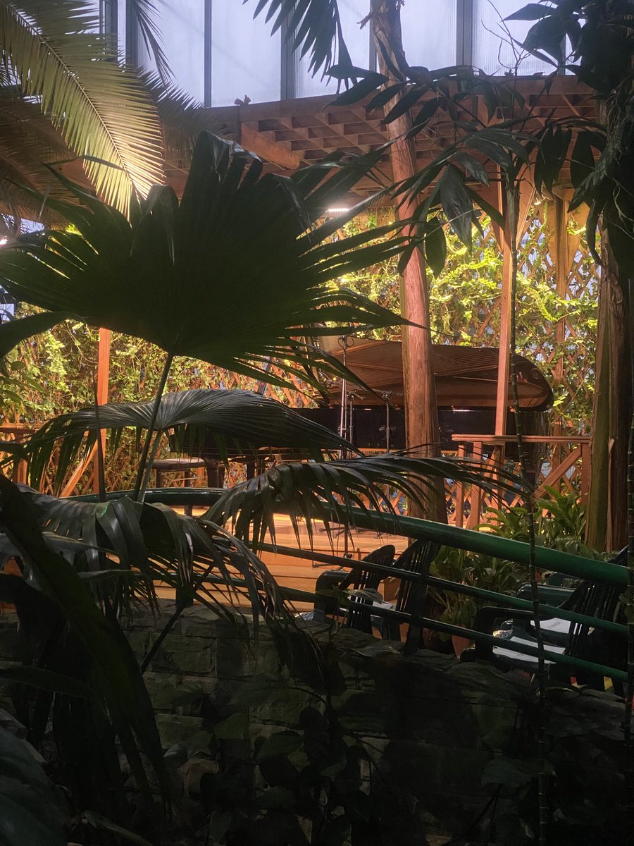 Anettlissima tweet media