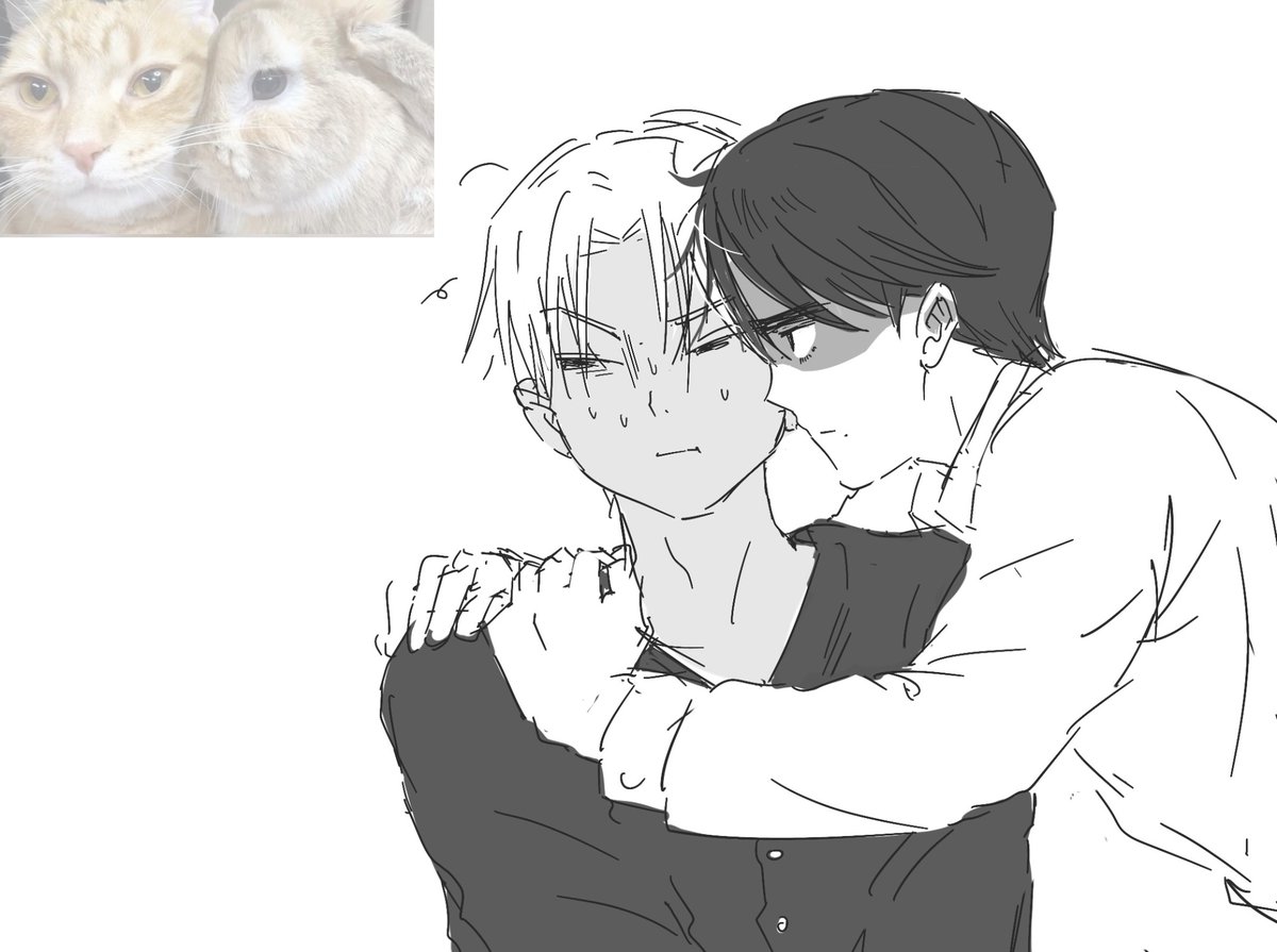 마음좋음이 tweet media