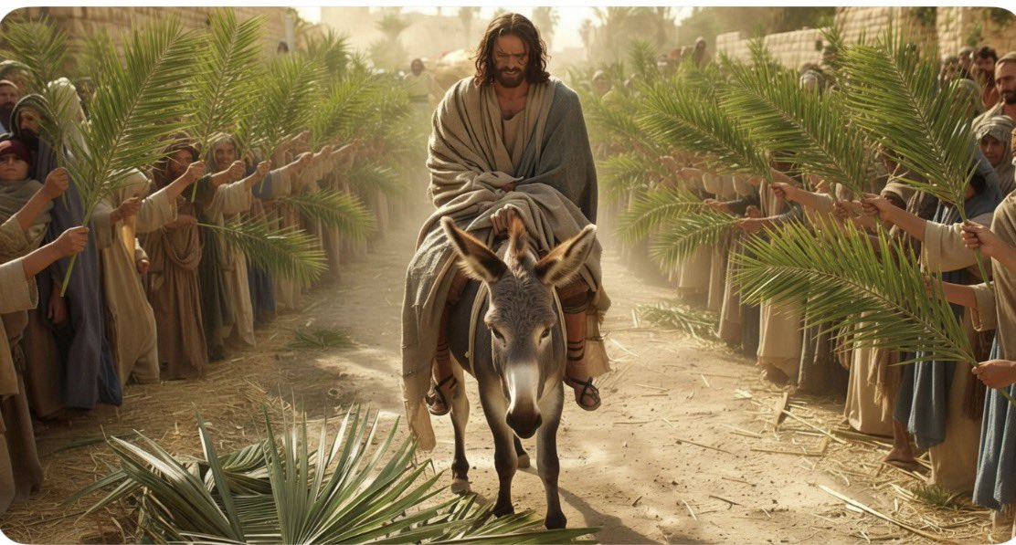 GunnyP1775's tweet photo. @mjfree #YesKing ! Jesus is King! Happy Palm Sunday! Hosanna! https://t.co/NgxJSZ6r74