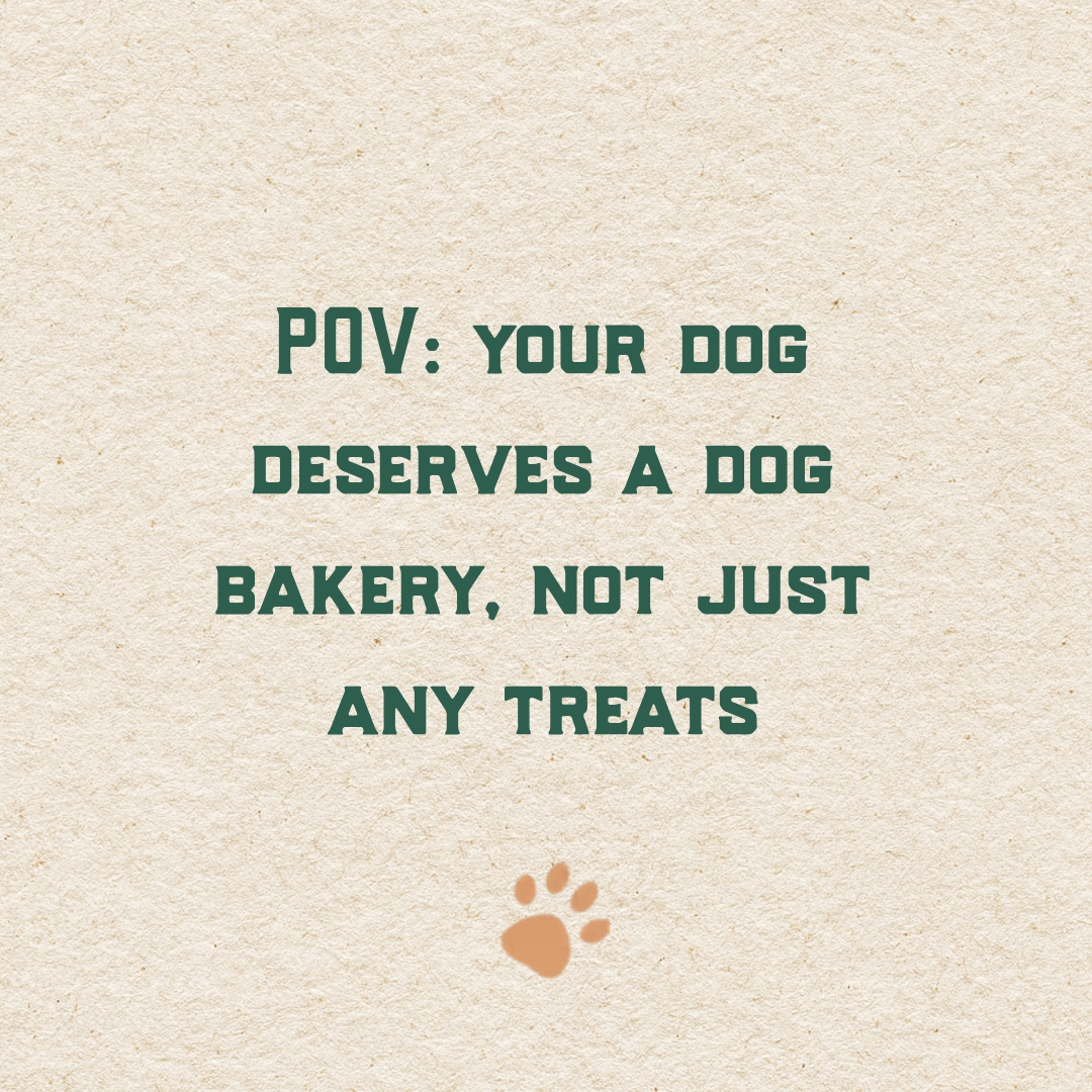 LifeOfRileyBake's tweet photo. Because your furry friend deserves more than ordinary treats – our bakery makes every bite special. 

Treat your dog the Life Of Riley way today!

#GrainFreeGoodness #NaturalDogTreats #SensitiveStomachs #PawsomeSnacks #DogBakeryDelight https://t.co/lE3brWRtdi