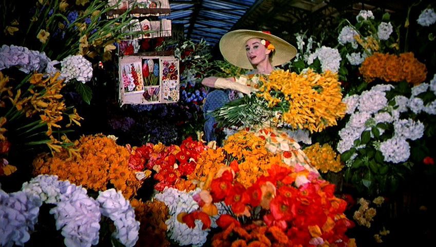 zaso ✟ 📹 tweet media