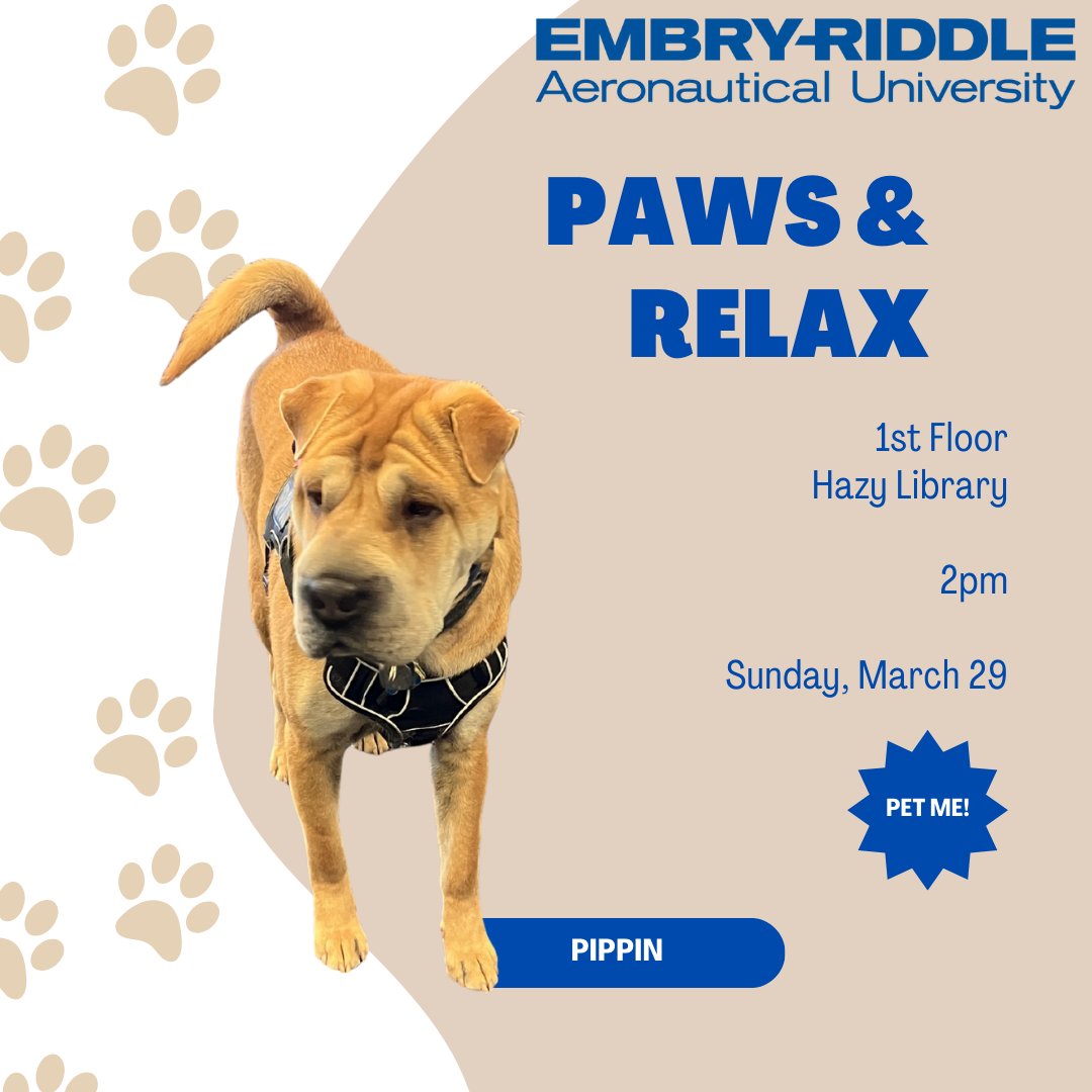 hazylibrary's tweet photo. Stop by the library at 2:00pm today to relax with our therapy dog teams.

#erauHazyLibrary #HazyLibrary #TherapyDogs https://t.co/9DulqLKhTI