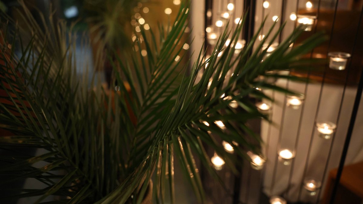 Seattle University tweet media