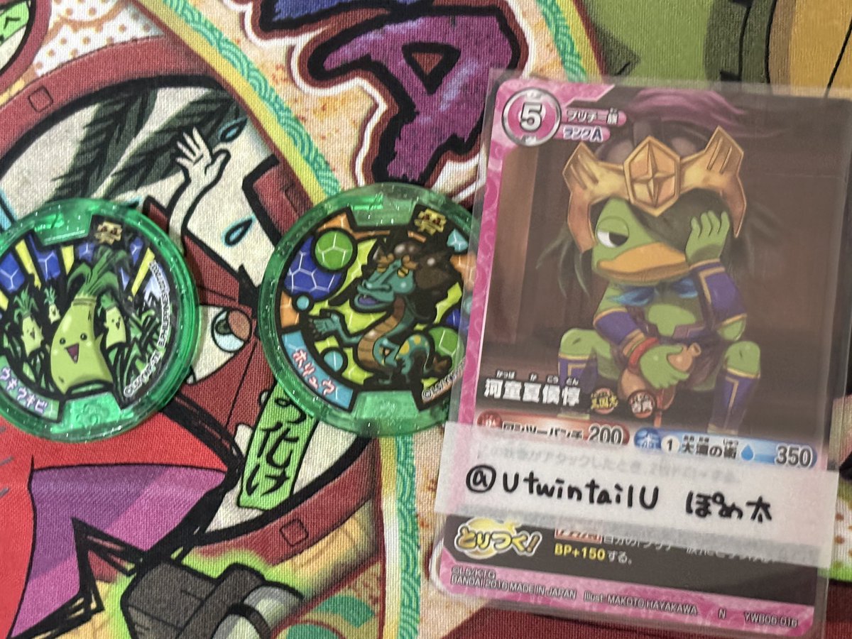 ぽめ太@初回リンク先必読 tweet media