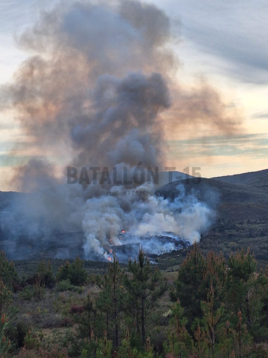 Batallón T-15 tweet media