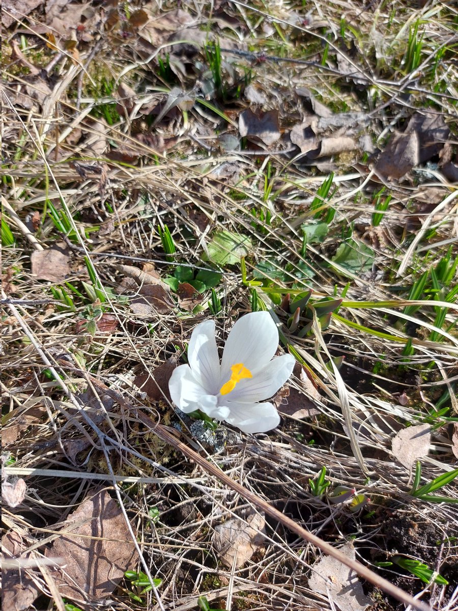 Рыжая, высокая, в очках tweet media