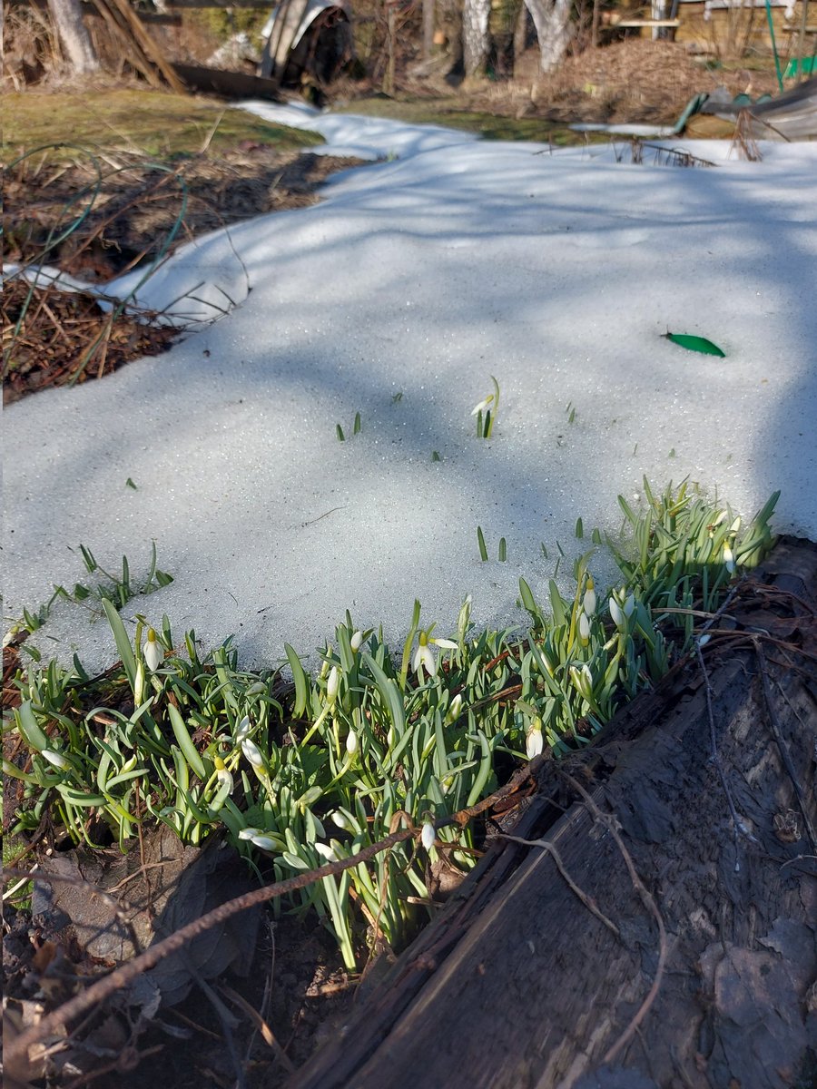 Рыжая, высокая, в очках tweet media