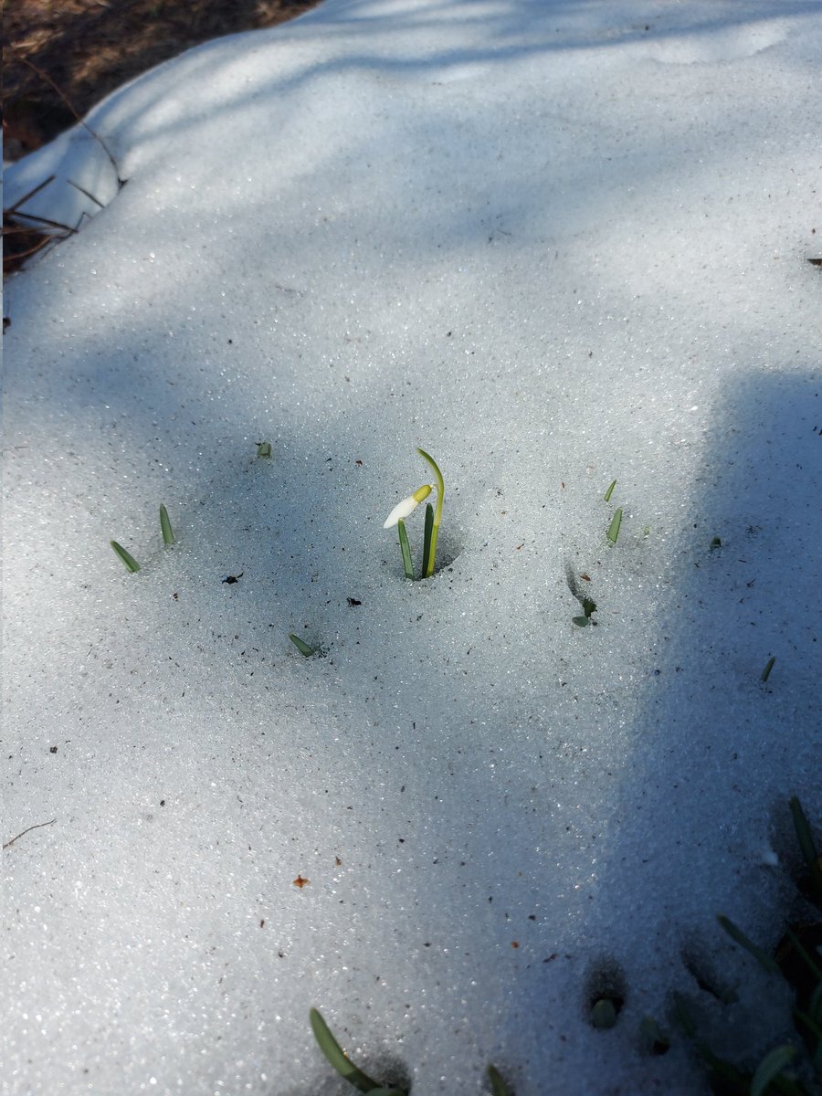 Рыжая, высокая, в очках tweet media