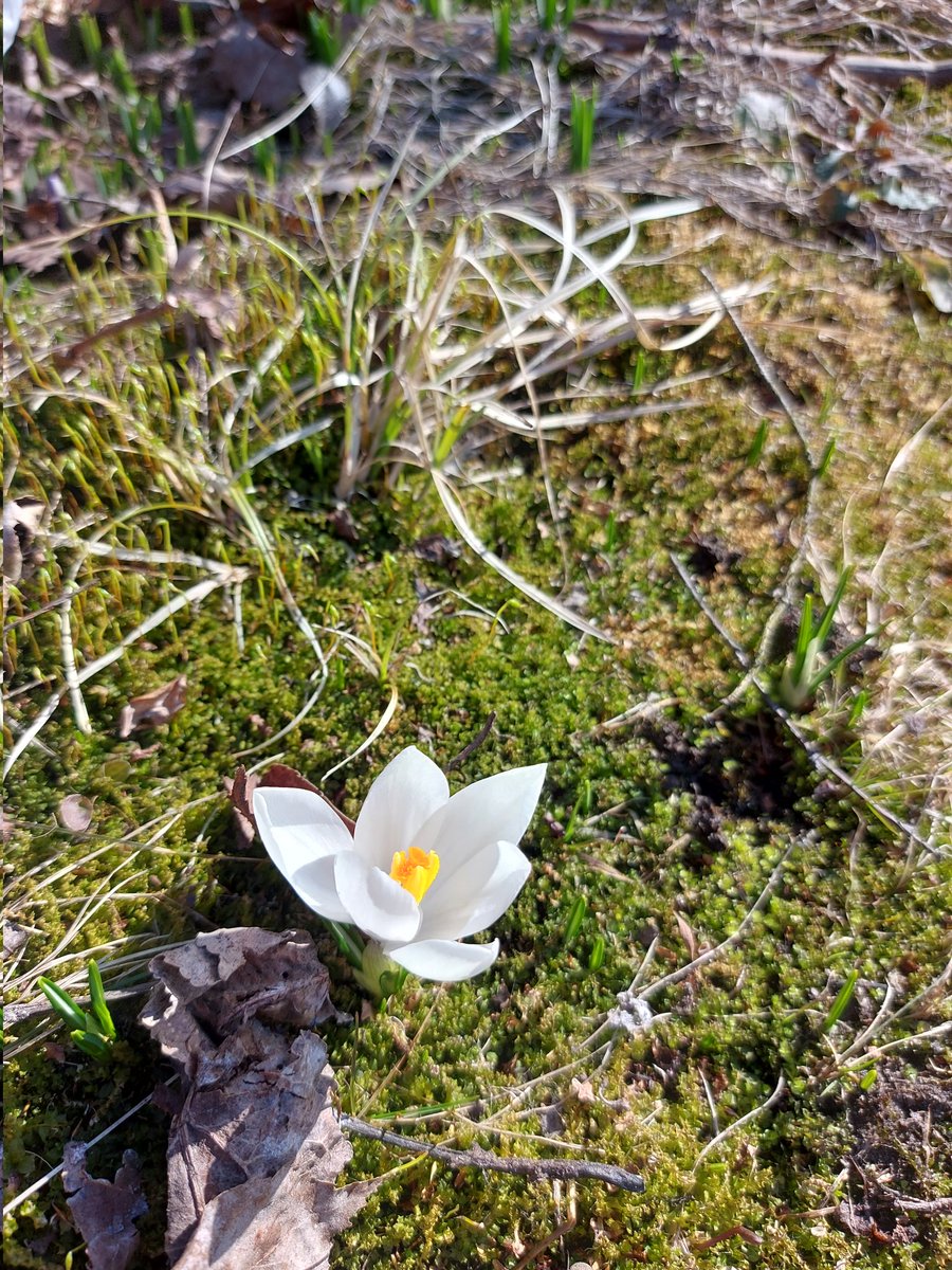 Рыжая, высокая, в очках tweet media