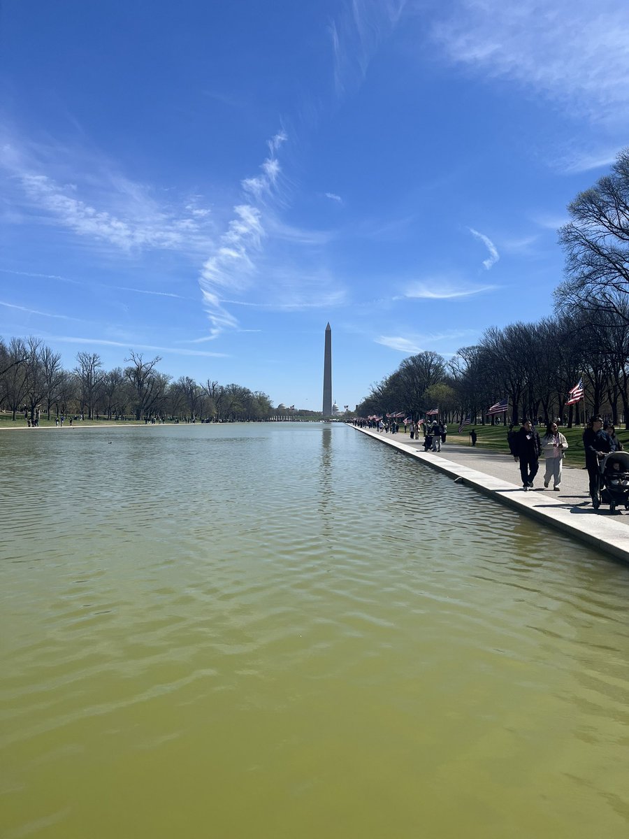 Sam Federman tweet media