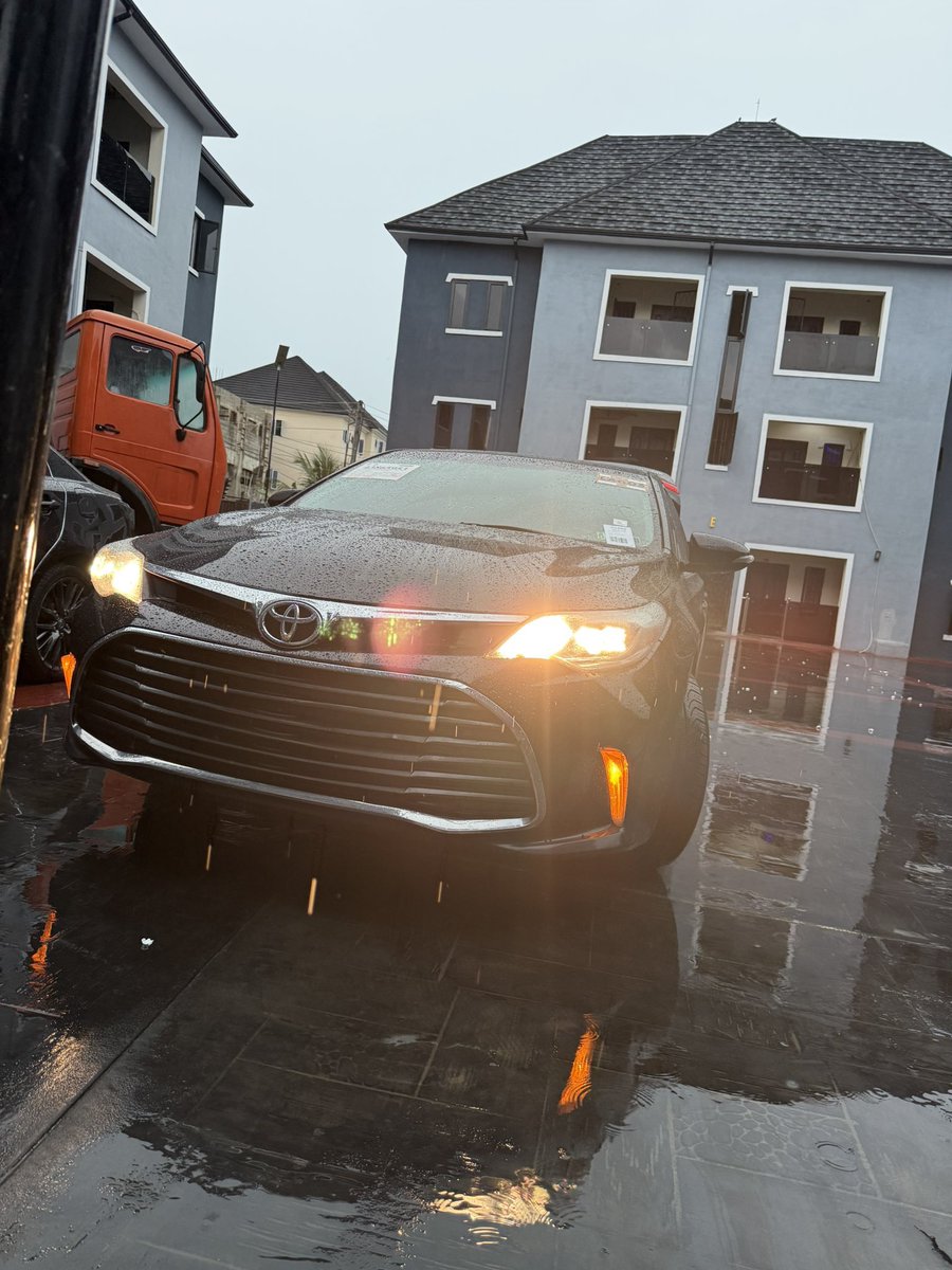 p4p!🪅 tweet media