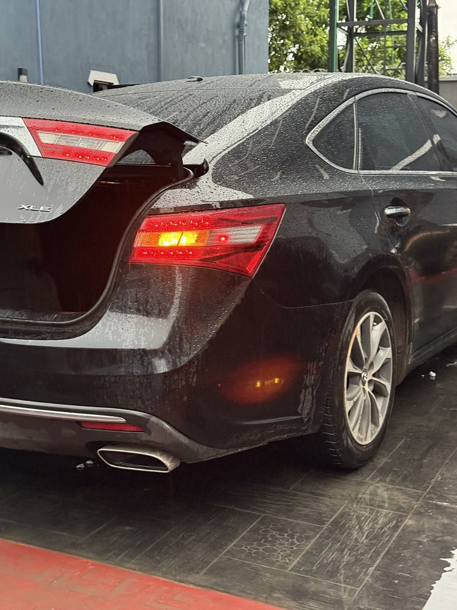 p4p!🪅 tweet media