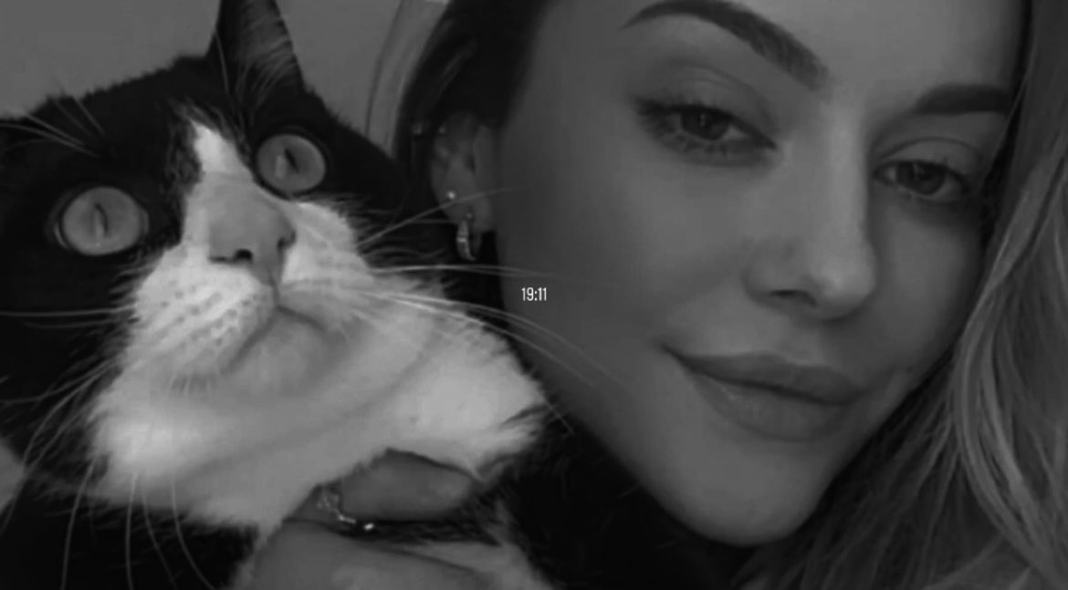 ellie ❄️ tweet media