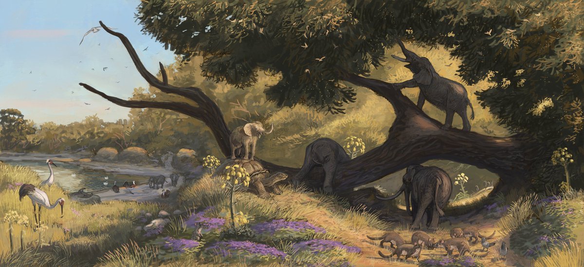 Joschua Knüppe tweet media