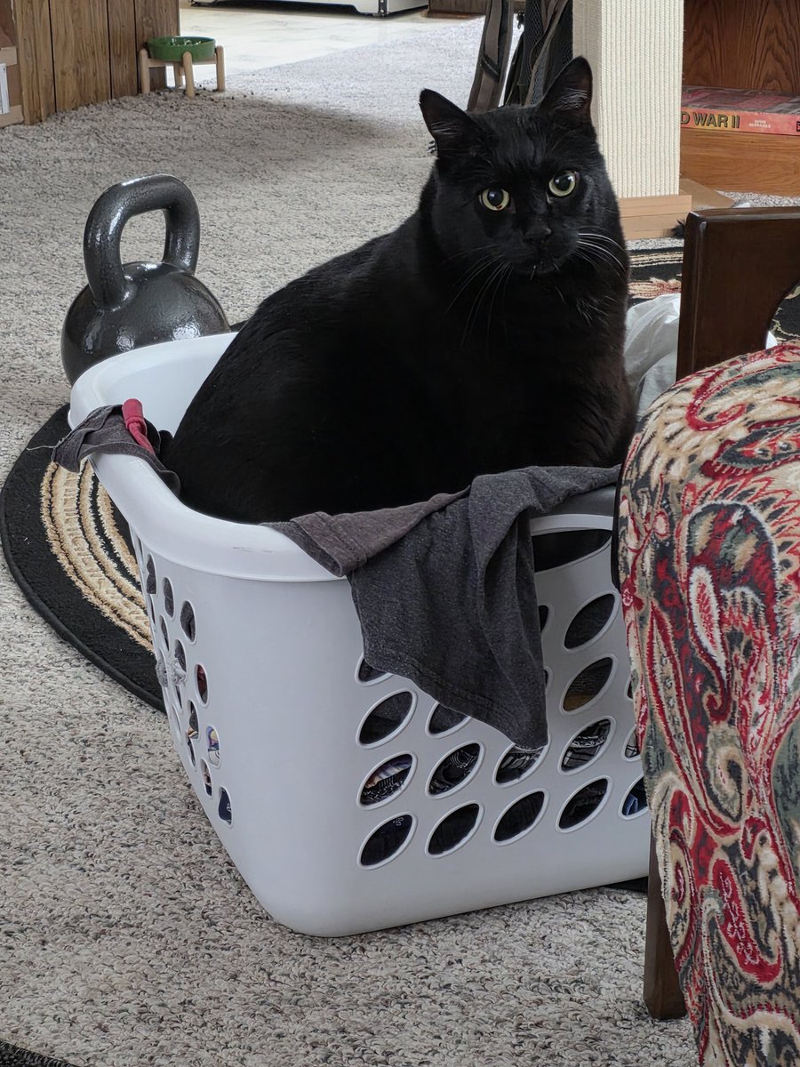 Hagar the Horrible tweet media