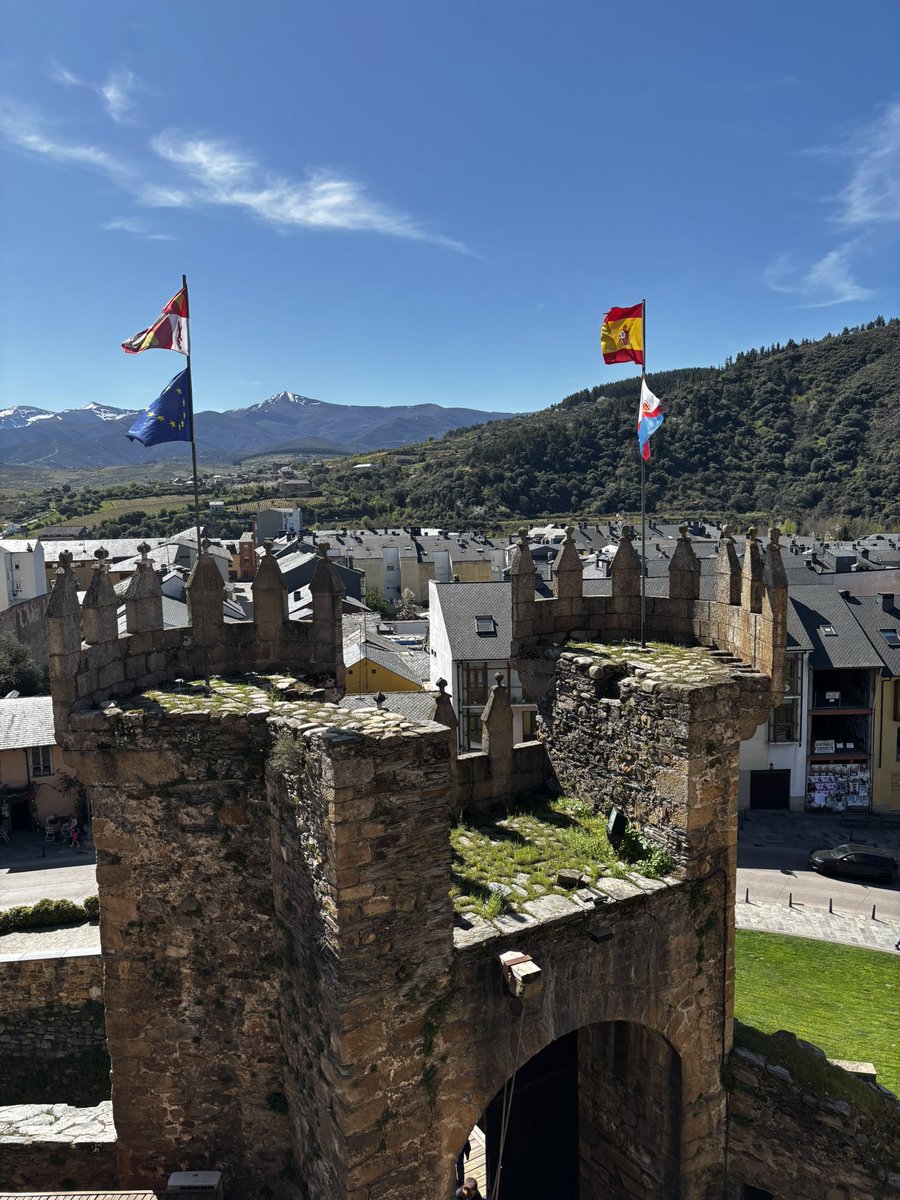 𝑴𝒆𝒍ania🩵 tweet media