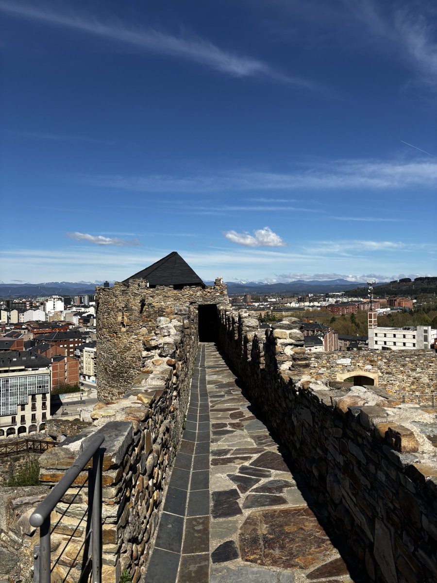 𝑴𝒆𝒍ania🩵 tweet media