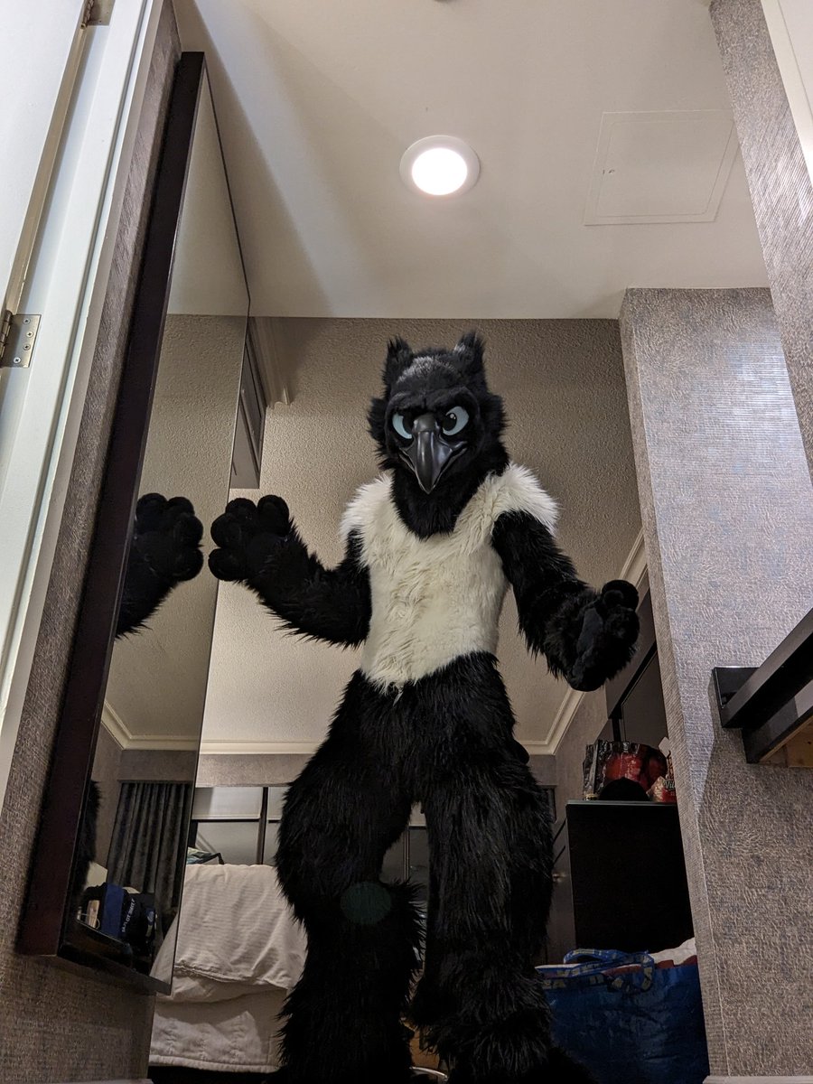 Alphix TFF26 tweet media