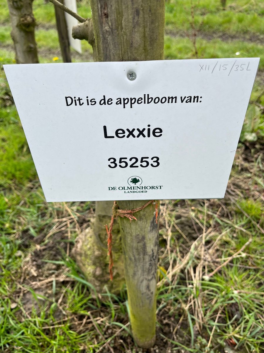 Maureen de Jong tweet media