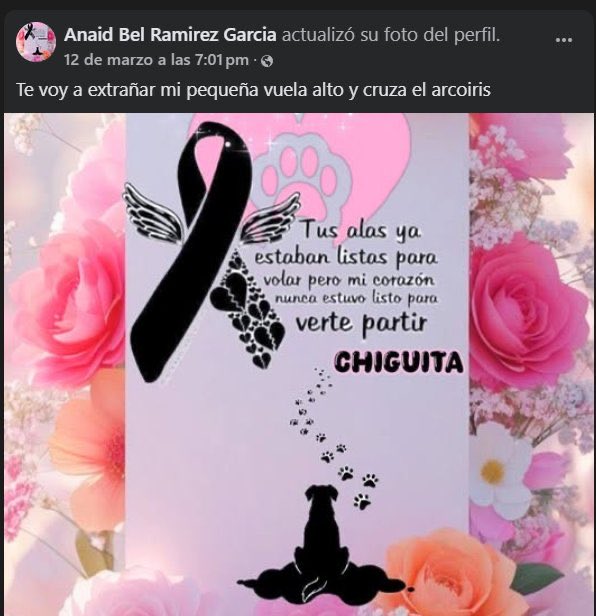 #JUSTICIAPARAANAÍD

Continúan prófugos los homicidas de la activista y rescatista de animales Diana Belén García Alfaro, conocida en redes sociales como Anaid Bel, reportada como desaparecida el pasado 19 de marzo y hallada sin vida en el municipio de Tultitlán. Días antes, había