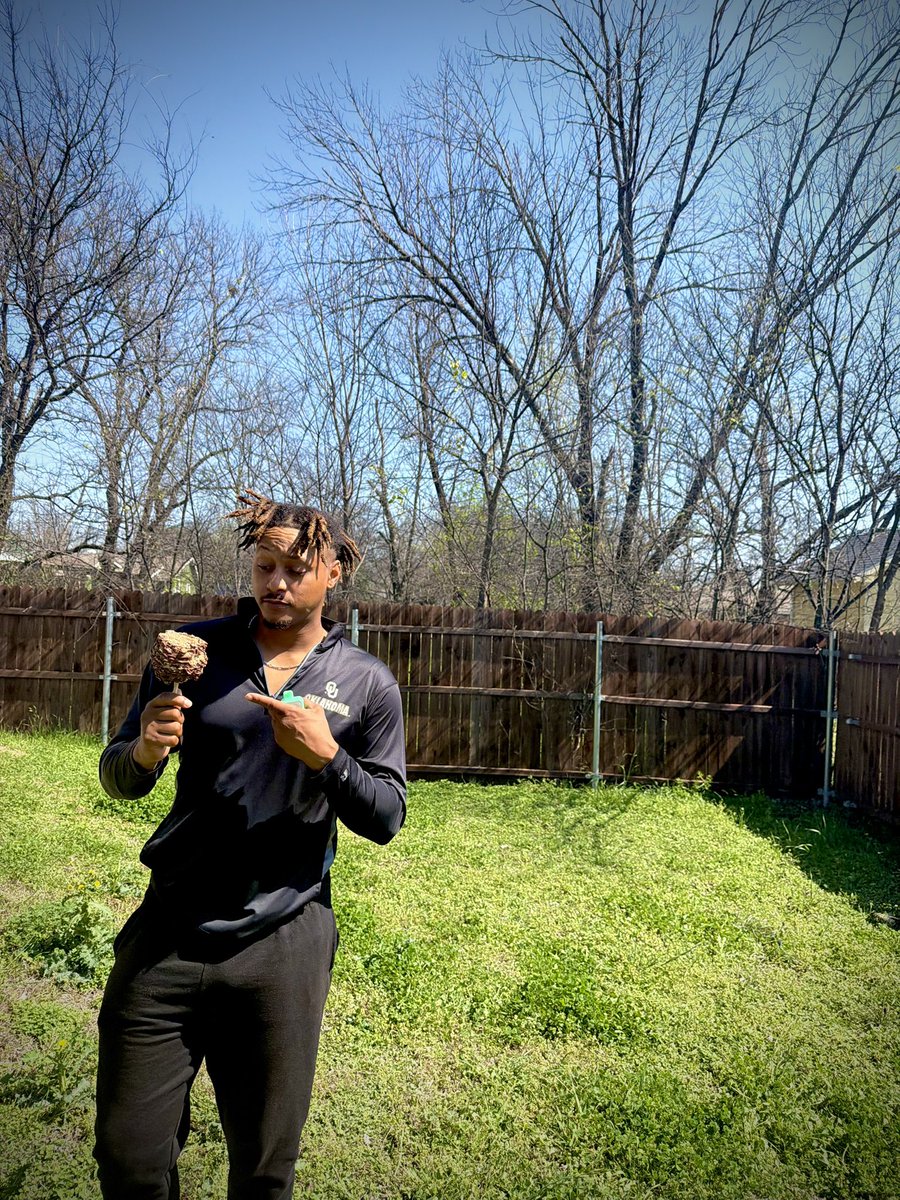 Zues.Mena tweet media