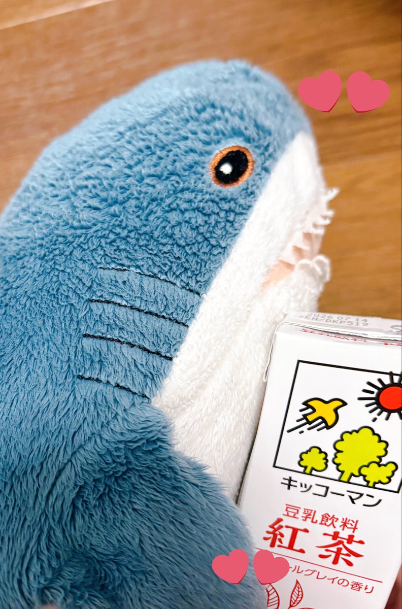 サメのメシ tweet media