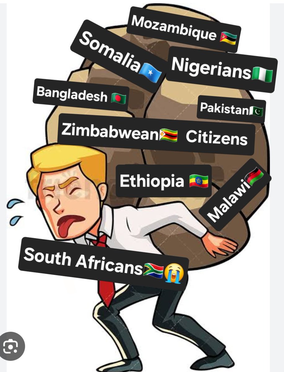 🐅Mphemba🐅 tweet media