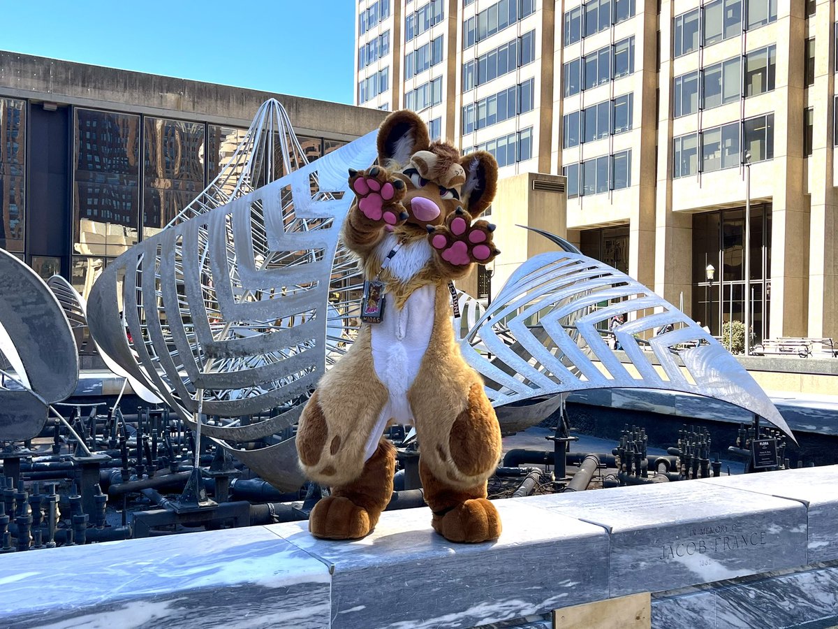 👑Midas👑 🔜 FWA tweet media