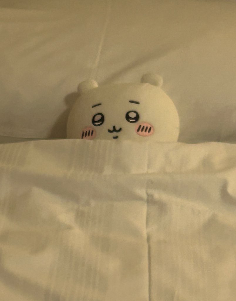 ⃟⃟⃟ tweet media