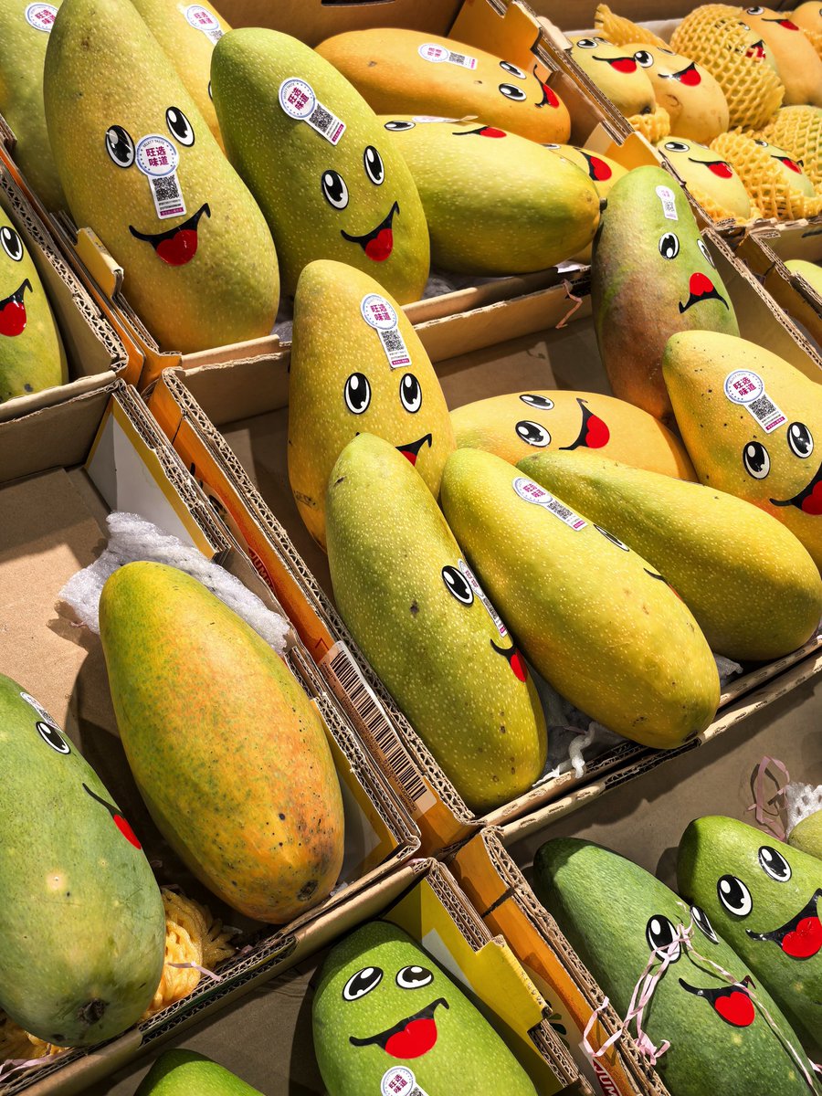 点一只炸鸡🍗 tweet media