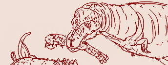 MURAYAN߷チャリあきと呼ばれて… tweet media