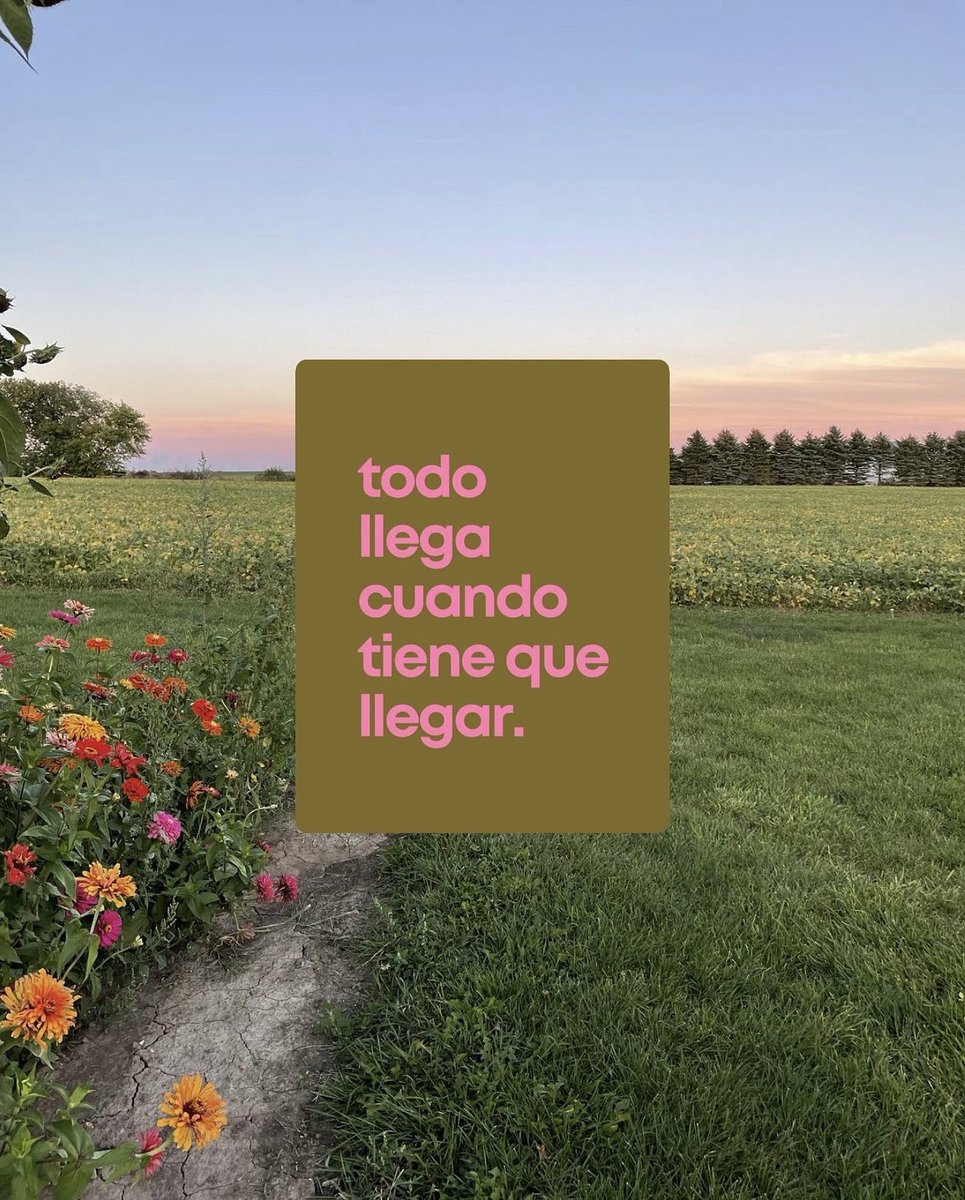 ramé (@escritosrame) on Twitter photo 