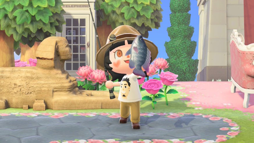 lucinha | fã-clube jota falcão tweet media