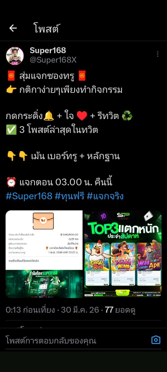 บีบี tweet media