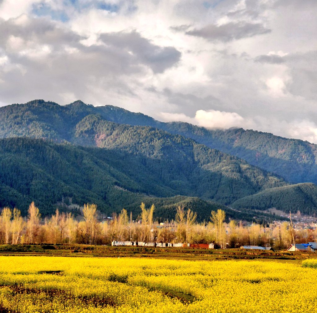 ShowkatFaheem's tweet photo. LOLAB : Land of love and Beauty 
#LOLAB #Spring2026 @JandKTourism https://t.co/fQ6S7SZP6w