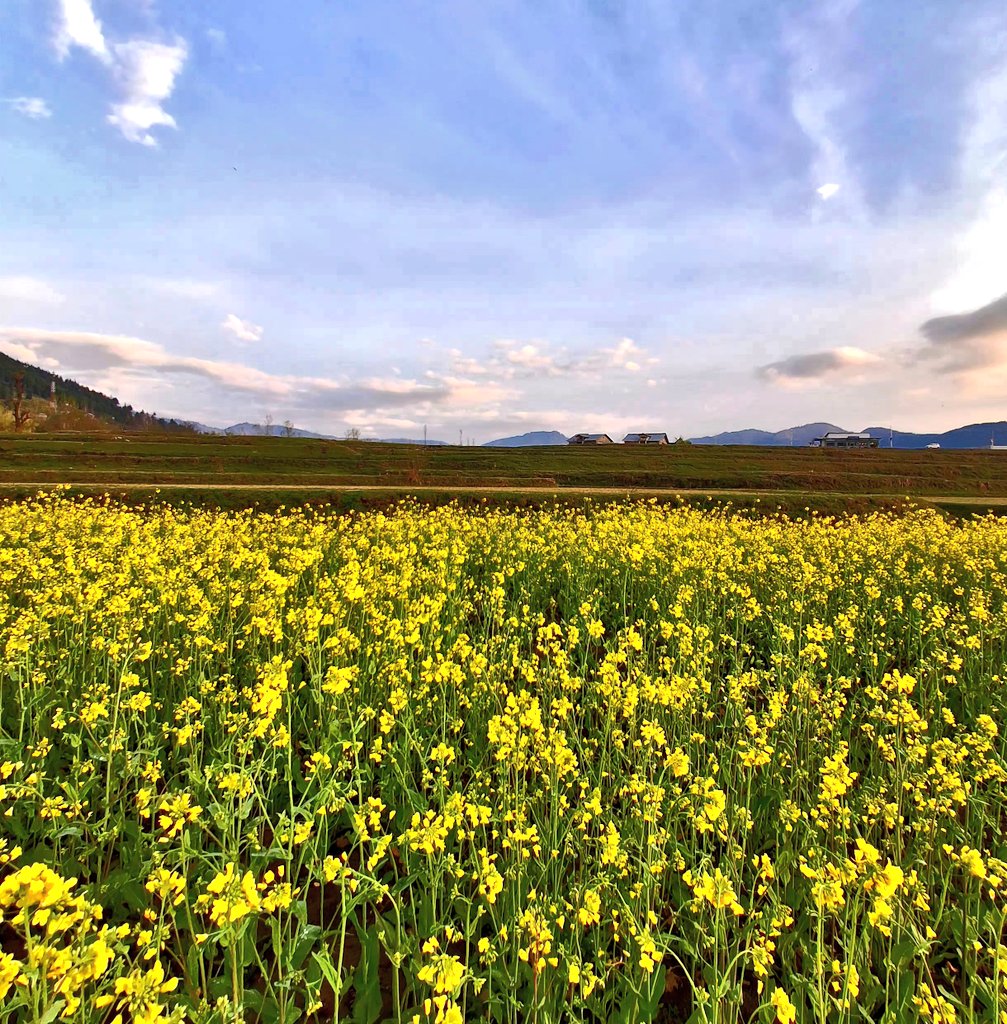 ShowkatFaheem's tweet photo. LOLAB : Land of love and Beauty 
#LOLAB #Spring2026 @JandKTourism https://t.co/fQ6S7SZP6w