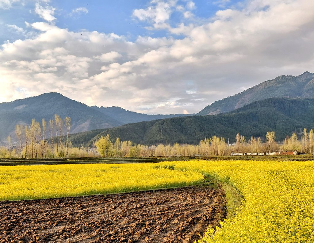 ShowkatFaheem's tweet photo. LOLAB : Land of love and Beauty 
#LOLAB #Spring2026 @JandKTourism https://t.co/fQ6S7SZP6w